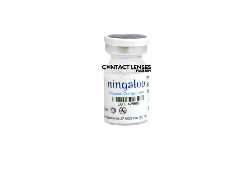Ningaloo two tone contact lenses price in pakistan