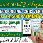 8171 Check Online CNIC